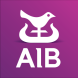 Convert AIB Bank Statements to Excel